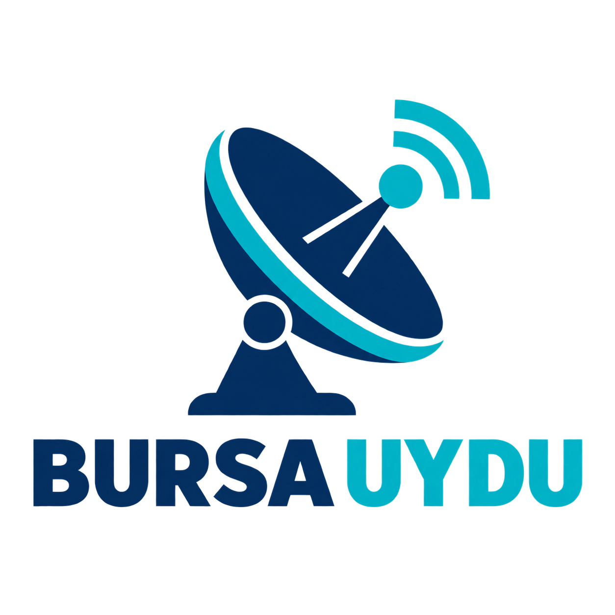 Bursa Uydu